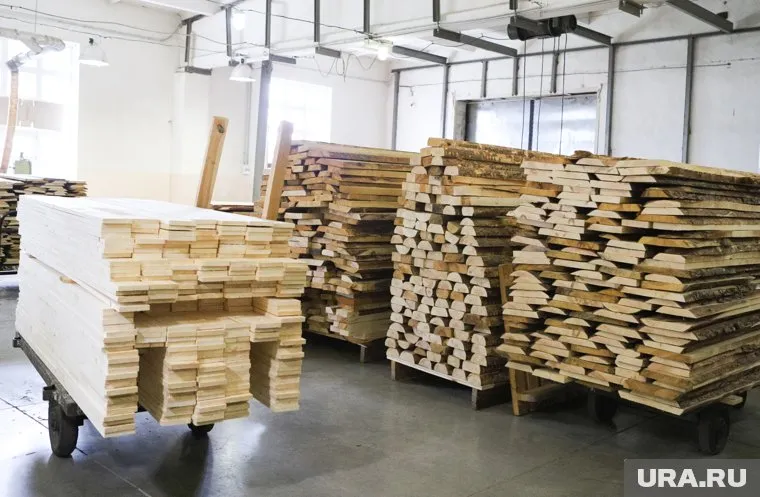 Мальчику из Петуховского района нужны были дрова на зиму (архивное фото)