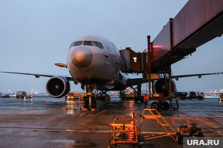 Птицы возле курганского аэропорта могут повлиять на безопасность полетов