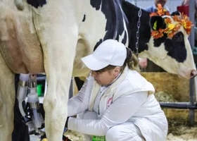 Свердловская область отличилась от соседей по надоям молока: кто в антилидерах