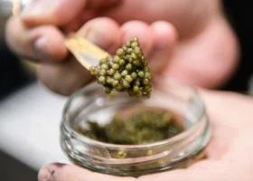 Бюджетно закупиться: челябинцам к Новому году предлагают недорогую черную и красную икру