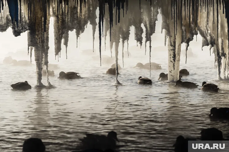 В некоторых регионах температура упадет до -40 градусов