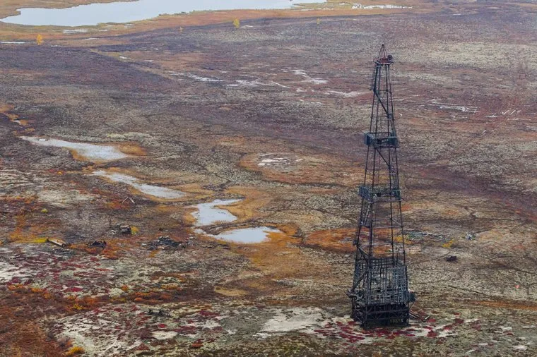 Природа Ямало-Ненецкого автономного округа