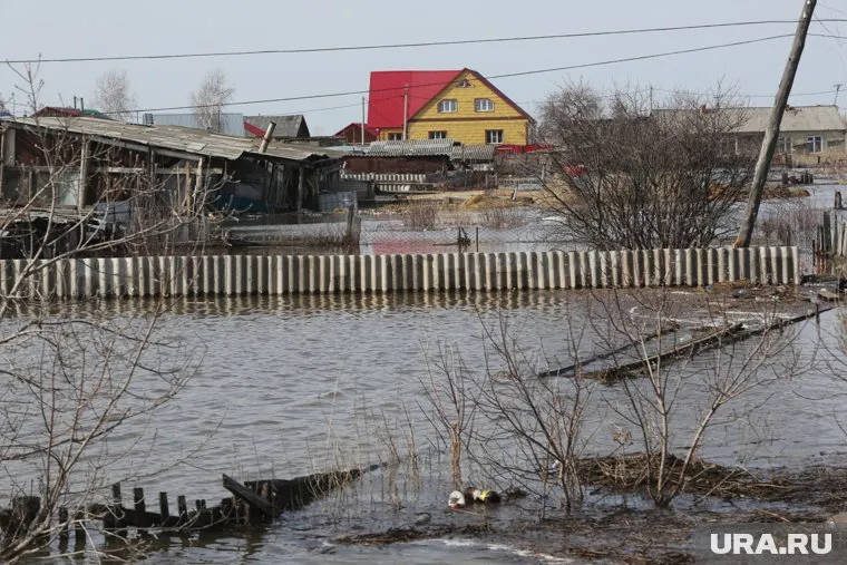 За сутки вода у берегов Ишима поднялась на 13 сантиметров