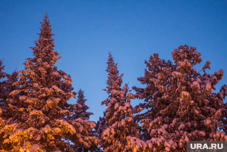 Новая застройка не заденет природный парк