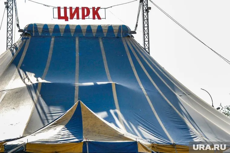 В Кургане презентовали программу развития социальной инфраструктуры