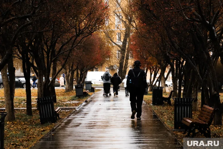 В Прикамье будет тепло и сыро