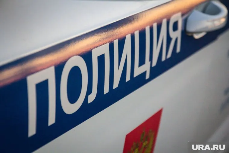 Марина Семынина повредила машину полиции