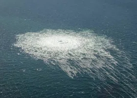 Фотография из галереи