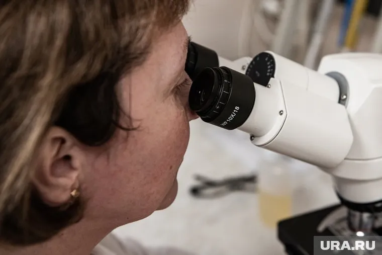 Низкая смертность пациентов с коронавирусом объясняется ранним выявлением зараженных