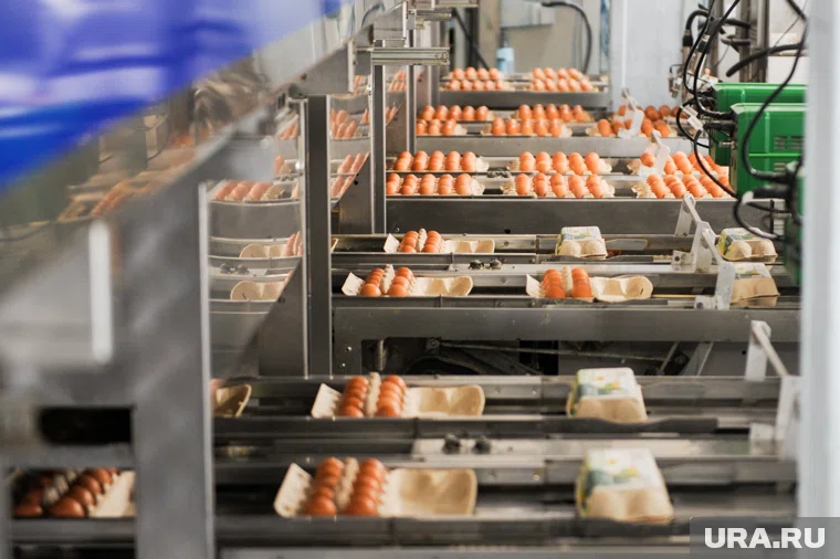 По информации собственных источников URA.RU, речь идет о птицефабрике «Пышминская»