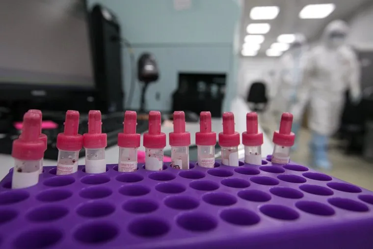 Временный госпиталь ГКБ №24 для больных COVID-19 на ВДНХ. Москва