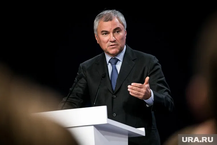 Вячеслав Володин заявил о запрете действий против добровольческих организаций