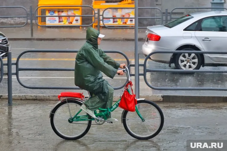 Порывы ветра до 12 м/с ожидаются в Кургане