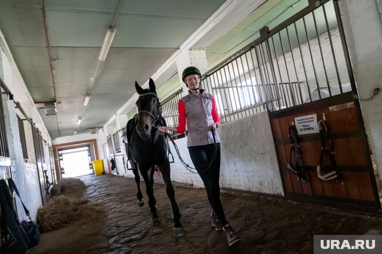 Арт-резиденция пройдет в конном клубе на Ферме