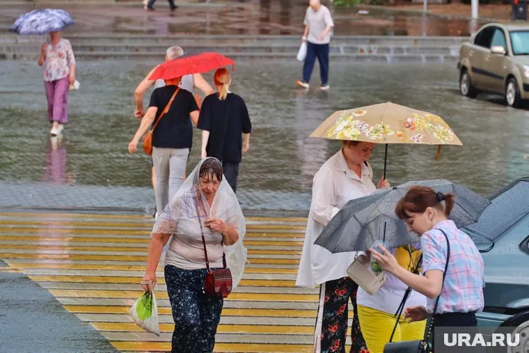 Дожди накроют Курганскую область