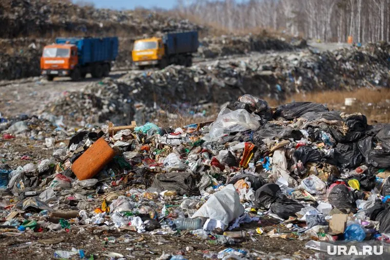 Свалки стали настоящей проблемой для российских городов