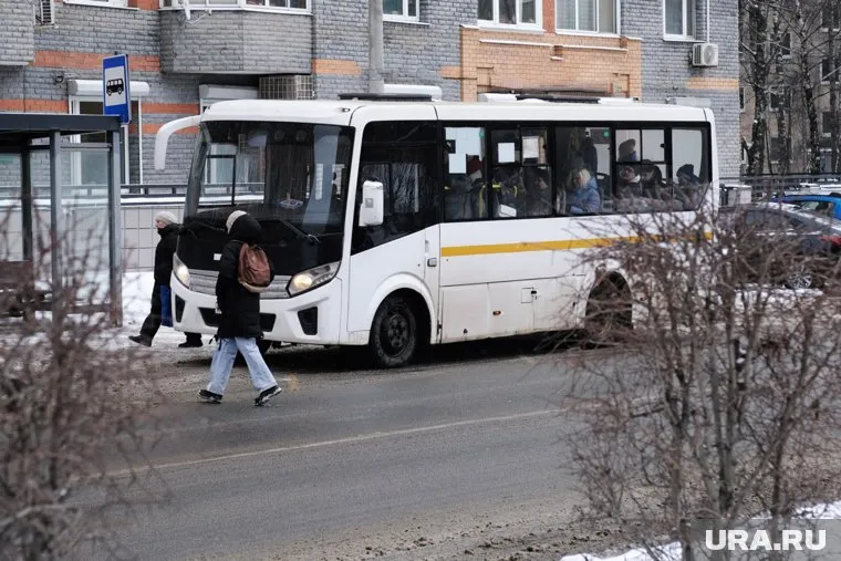 Представители управления и перевозчика опросили очевидцев (фото из архива)