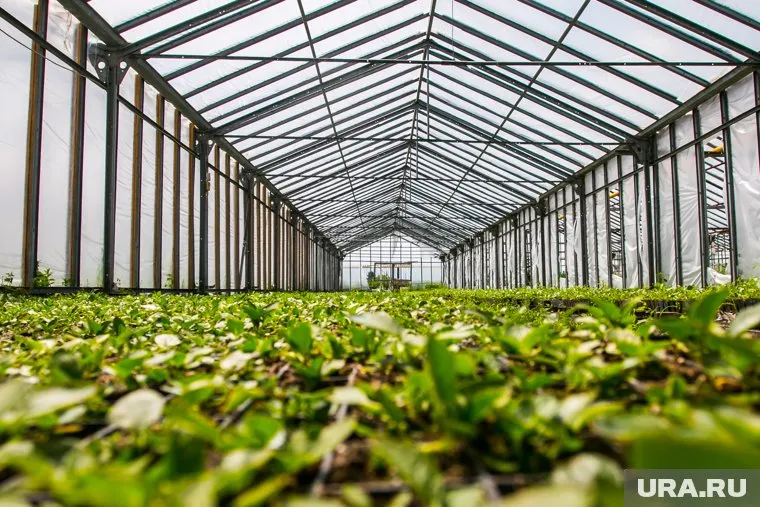 Поставки челябинской агропродукции в страны Азии вырастут