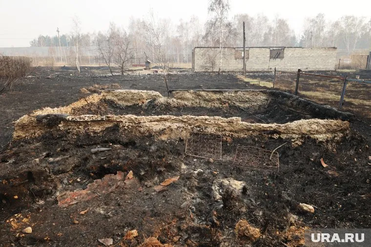 Во время пожара в СНТ «Малиновка» в Кургане сгорело 55 домов