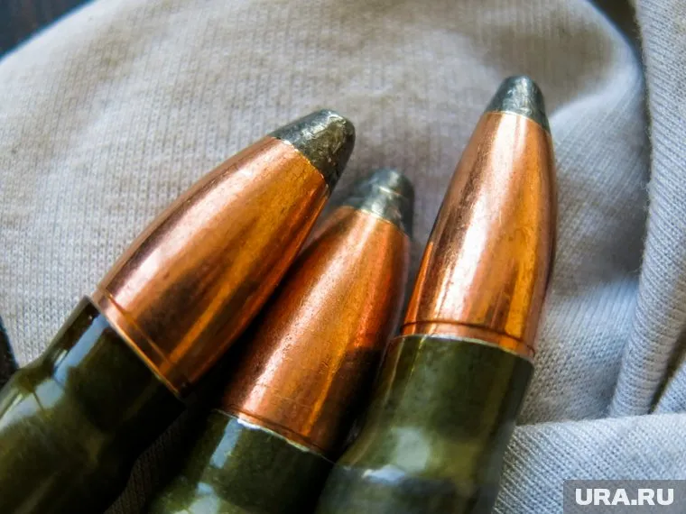 За незаконное хранение патронов к нарезному ружью, житель ЯНАО ограничен в свободе на год