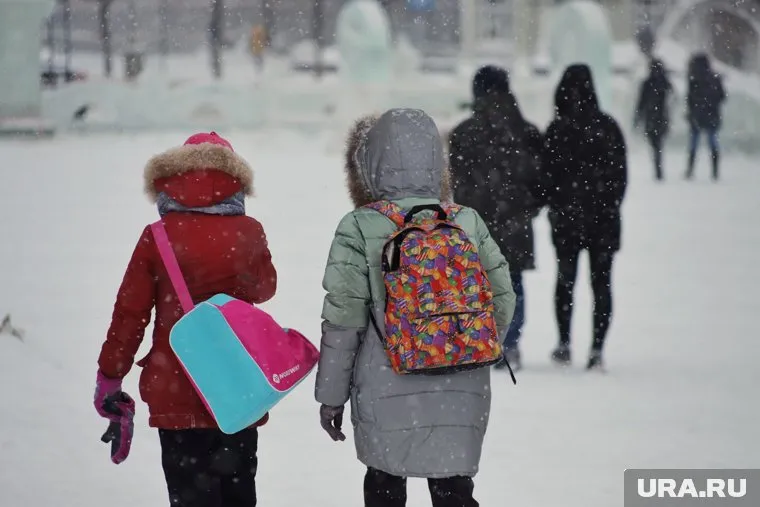 Школьников ХМАО освободили от занятий из-за морозов