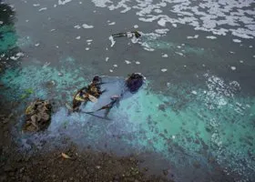 Фотография из галереи