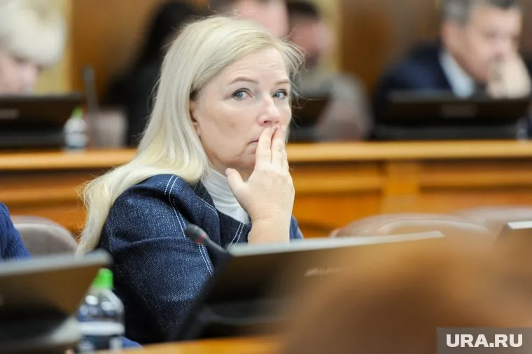 Заседание законодательного собрания. Челябинск