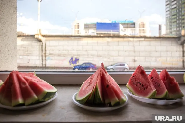 Чтобы дезинфицирующие вещества попали в организм человека, нужно есть арбузные корки, отметил Анатолий Тихонов