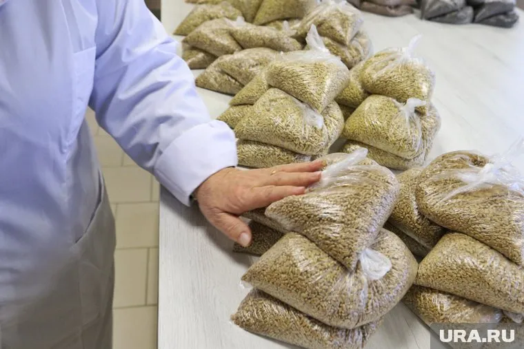 Максим Решетников анонсировал увеличение пошлины на экспорт пшеницы, ячменя и кукурузы