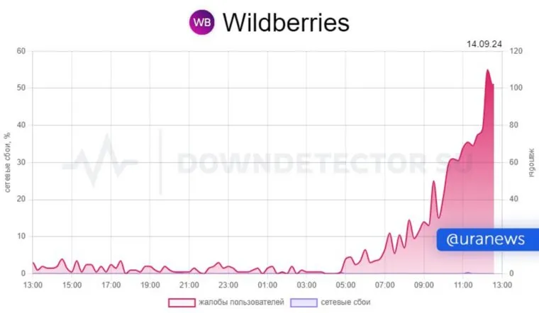 Сбой в Wildberries 14 сентября: скрин 