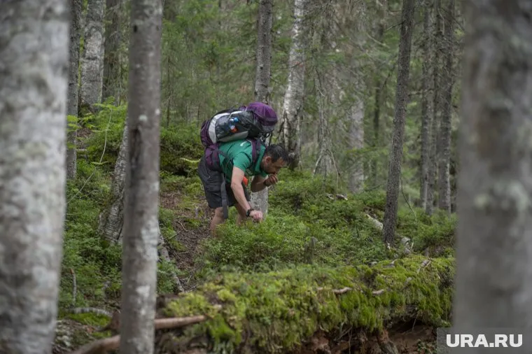 Свердловчанин, плохо ориентирующийся в пространстве, ушел за грибами и пропал