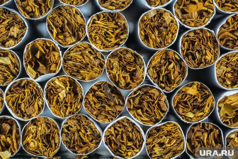 В России фактически может появиться табачная монополия, прогнозируют эксперты