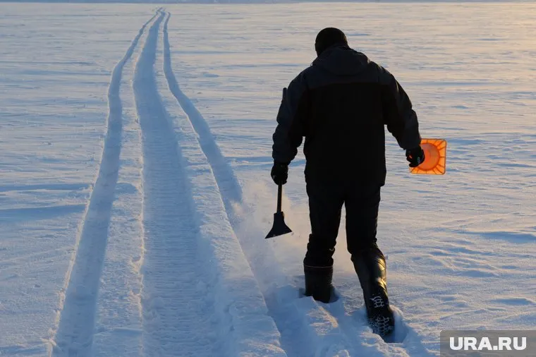Специалист был нужен для создания естественных дорожек в парке