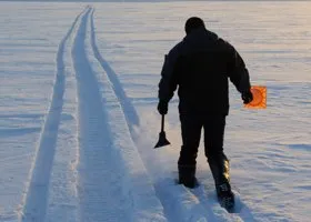 Зарплата — 35-50 тысяч! Пользователи Сети соблазнились вакансией «протаптывальщика тропинок»
