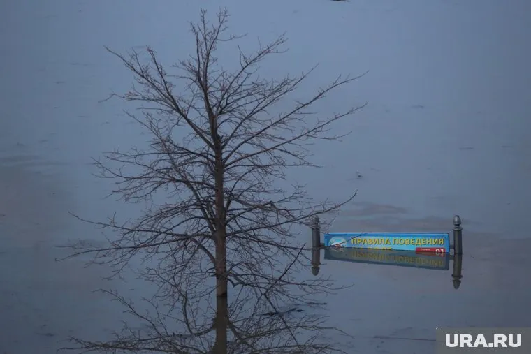 Вода в реке Ишим поднимется возле Ишима, Ишимского и Казанского района