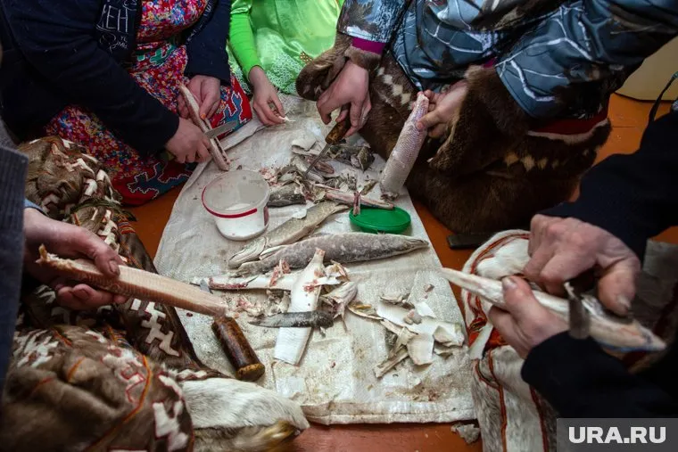 Без строганины нельзя представить ямальскую кухню