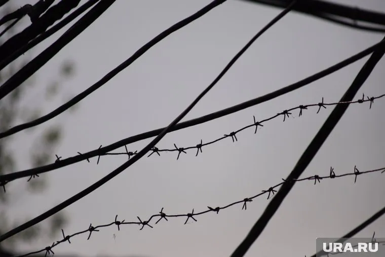 Курганского тюремщика Хамзата Амаева обвиняют в превышении полномочий
