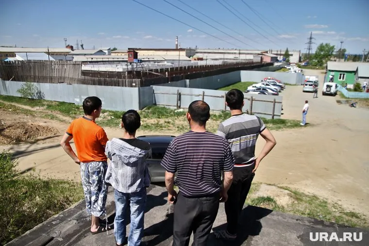 Приравнять к гражданам планируется только трудоустроенных мигрантов