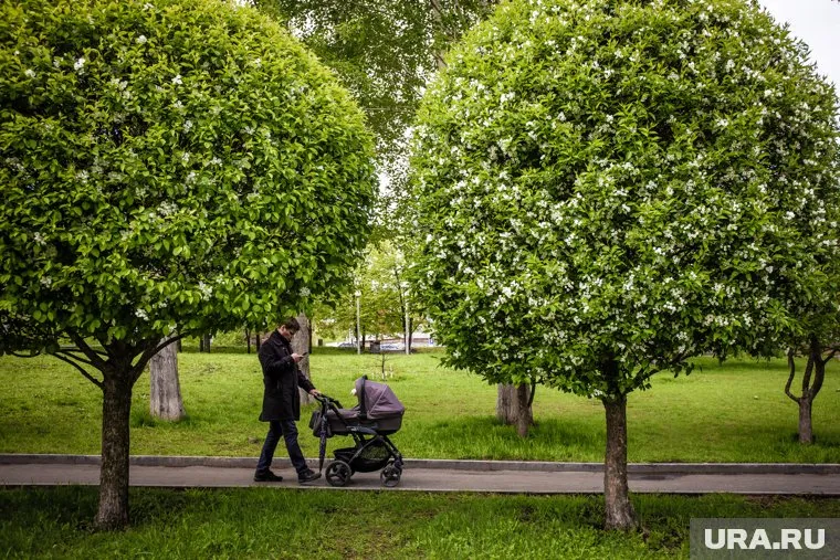 Проблемы мужского бесплодия обострились после начала пандемии