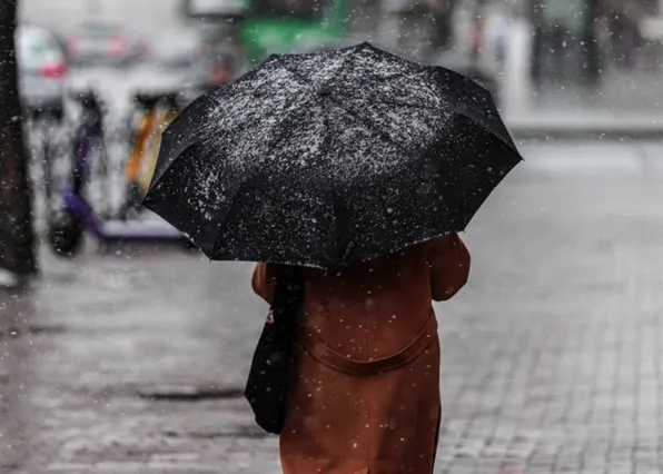 Фотография из галереи