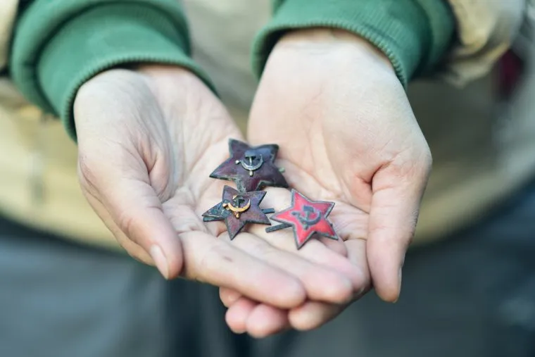 Символ «Поискового движения России» - белые журавли