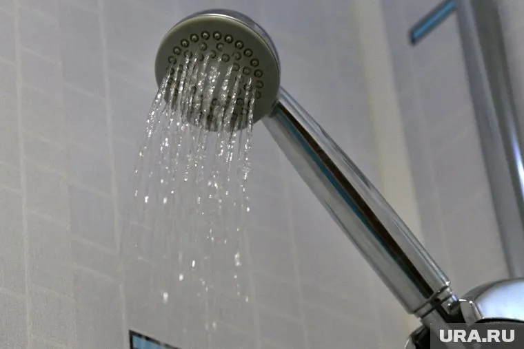 По словам Яэля Адлера, если человек редко ходит в душ, на его теле появляются полезные бактерии