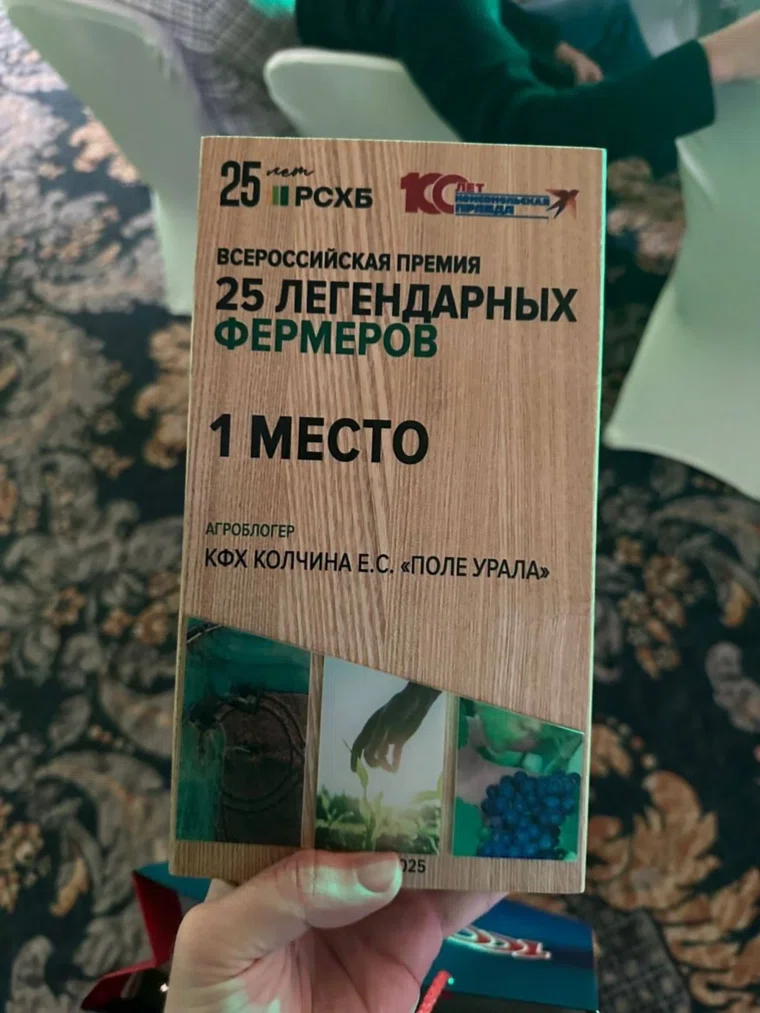 alt-text