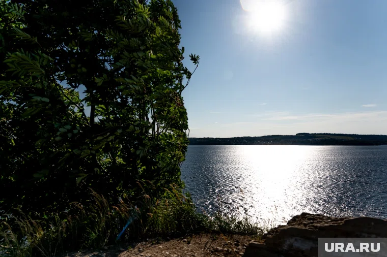 Супруги Майя Плисецкая и Родион Щедрин мечтали, чтобы их прах развеяли над Россией