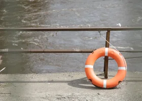 Фотография из галереи