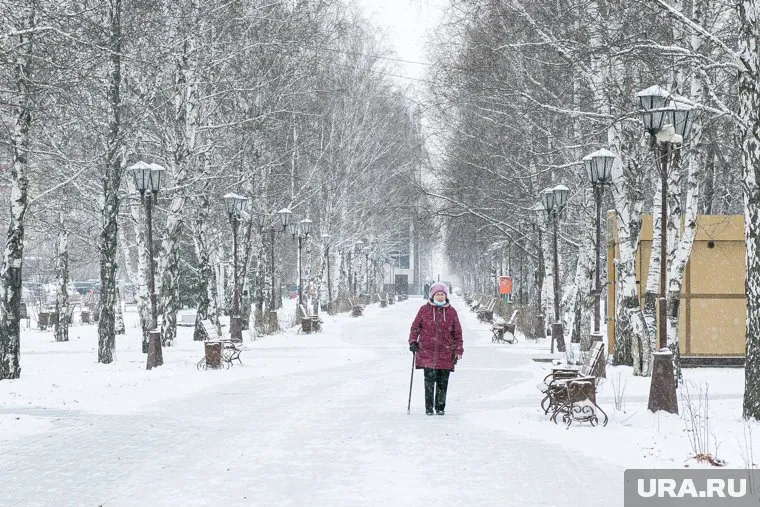 Экономисты заявили, что в бюджете России достаточно денег для индексации пенсий работающим пенсионерам