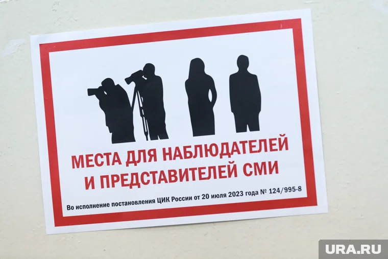 В УИК заявили, что наблюдатель мешала участникам голосования