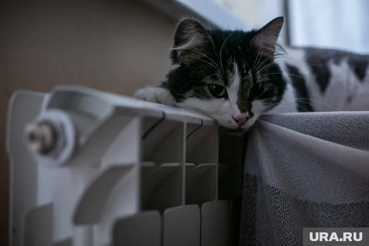 Новая котельная повысит качество коммунальных услуг в новом микрорайоне ЯНАО