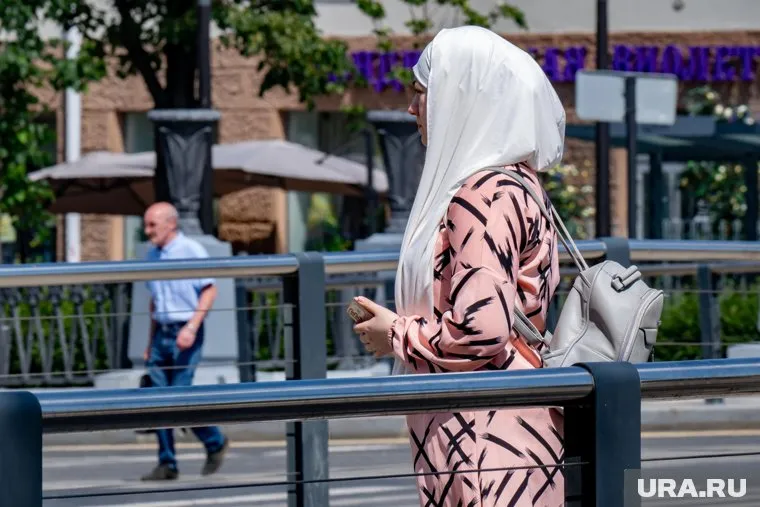 Власти сослались на опыт других регионов в запрете никабов