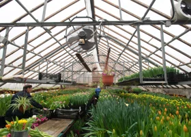 Садовый центр подал в суд на дочку газовой компании из ХМАО из-за теплиц